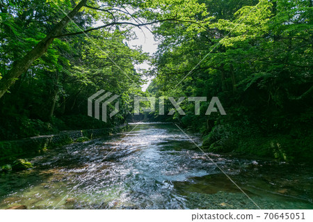 秋田市宇陽市的奧瑪塔河 70645051