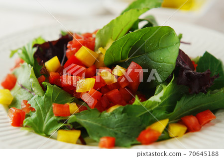Colorful vegetable salad Colorful vegetable salad 70645188