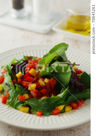 多彩的蔬菜沙拉 多彩的蔬菜沙拉 70645261