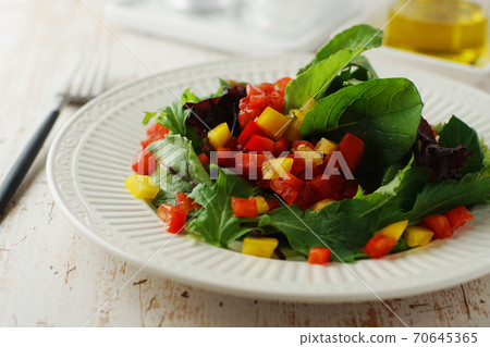 多彩的蔬菜沙拉 70645365