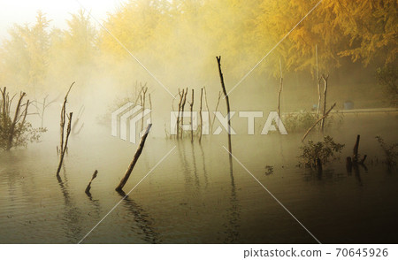 Misty reservoir 3 70645926