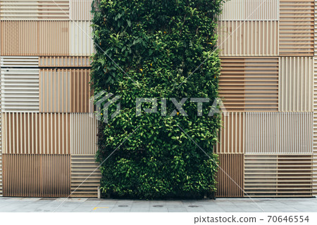 Vertical garden and natural brown wooden background Vertical garden and natural brown wooden background 70646554