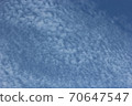 Iwashi clouds, scale clouds, and cirrocumulus clouds appearing in the autumn sky 70647547