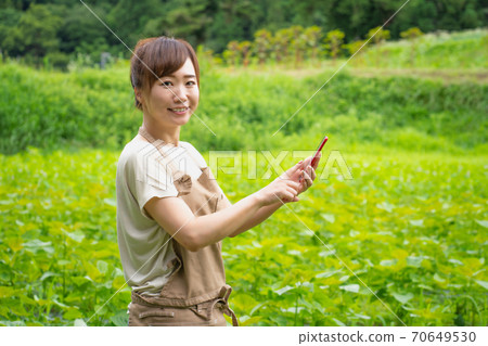 A woman farming on her smartphone A woman farming on her smartphone 70649530