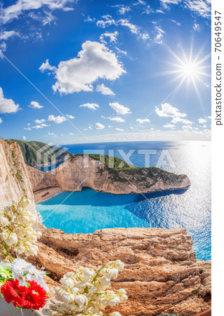 Navagio beach with shipwreck and flowers on Zakynthos island, Greece 70649547