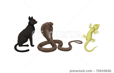 Desert Animals with Cobra and Lizard Vector Set 70649686