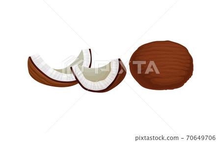 Cracked Coconut with Hard Shell and Fibrous Husk Showing White Inner Flesh Vector Set Cracked Coconut with Hard Shell and Fibrous Husk Showing White Inner Flesh Vector Set 70649706