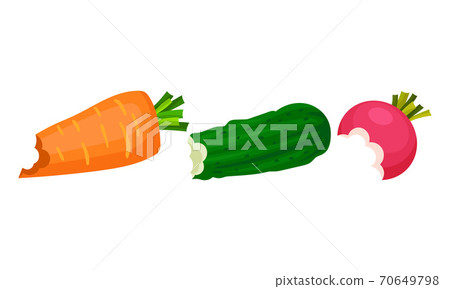 Bitten Vegetables Isolated on White Background Vector Set Bitten Vegetables Isolated on White Background Vector Set 70649798