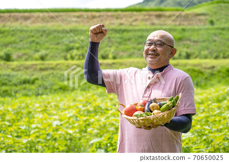 Middle-aged and older men farming Middle-aged and older men farming 70650025