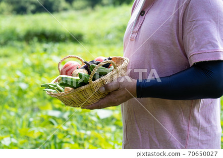 Middle-aged and older men with vegetables Middle-aged and older men with vegetables 70650027