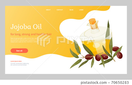 Information About Jojoba Oil in Vessel, Liquid Information About Jojoba Oil in Vessel, Liquid 70650283