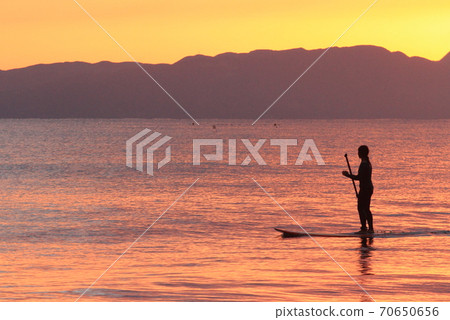 鎌倉樹汁暮色與治愈 70650656