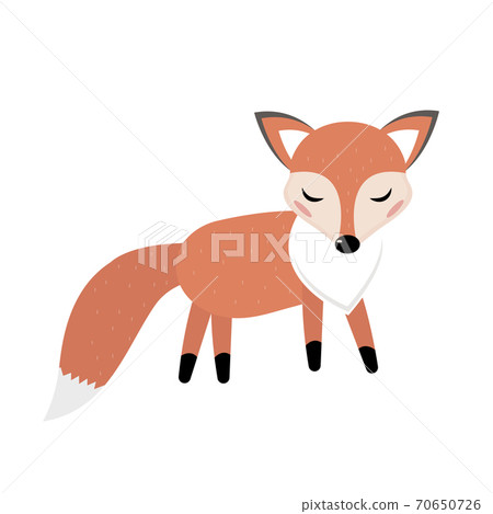 Cute fox icon flat, cartoon style. Vector illustration Cute fox icon flat, cartoon style. Vector illustration 70650726