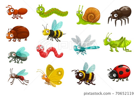 Cute bugs and insects cartoon vector characters - Stock Illustration  [70652119] - PIXTA