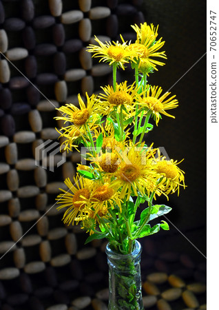 A bouquet of Yellow flowers on a geometric dark background. Stems in the neck of the bottle. Vertical photo A bouquet of Yellow flowers on a geometric dark background. Stems in the neck of the bottle. Vertical photo 70652747