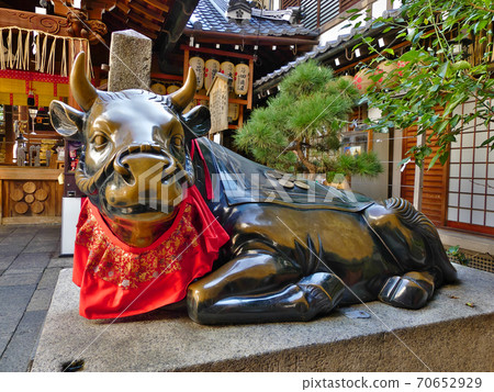Wo cow statue of Nishiki Tenmangu Shrine located in the innermost part of Nishiki Market Shopping District Wo cow statue of Nishiki Tenmangu Shrine located in the innermost part of Nishiki Market Shopping District 70652929