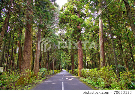 Near Daiyuzan Saijoji Chaya 70653153