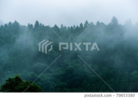 杉山雨後有霧 杉山雨後有霧 70653380