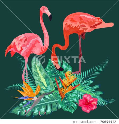 Decorated with exotic rain forest jungle palm tree monstera leaves and couple of pink flamingo birds. 70654412