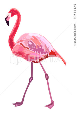 Pink flamingo illustration isolated on white background. Pink flamingo illustration isolated on white background. 70654425
