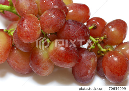 葡萄/啟道 葡萄/啟道 70654999