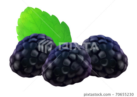 Blackberry Blackberry 70655230