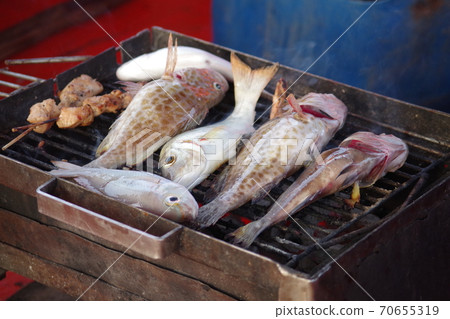 Fish caught on Ron Island Fish caught on Ron Island 70655319