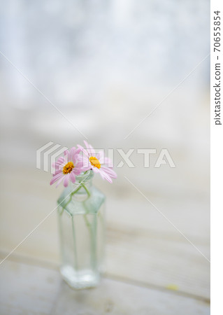 Cute flower Cute flower 70655854