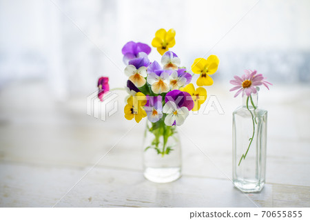 可愛的花 可愛的花 70655855