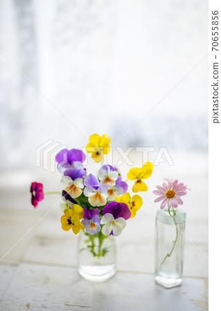 可愛的花 可愛的花 70655856