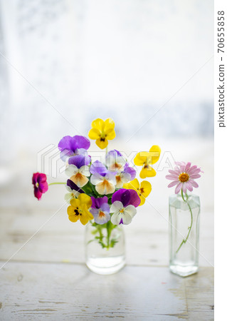 可愛的花 可愛的花 70655858