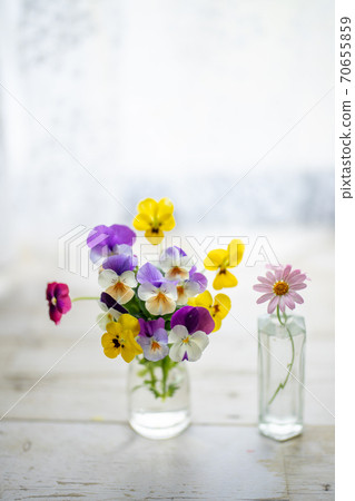 Cute flower Cute flower 70655859