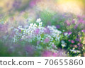 Cute flower 70655860