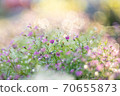 Glittering flowers 70655873