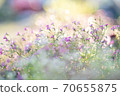 Glittering flowers 70655875
