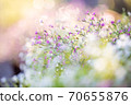 Glittering flowers 70655876