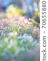 Glittering flowers 70655880