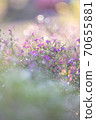 Glittering flowers 70655881