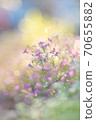 Glittering flowers 70655882