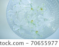 Flowers floating on water 70655977