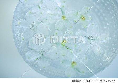浮在水面上的花 浮在水面上的花 70655977
