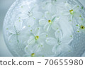 Flowers floating on water 70655980