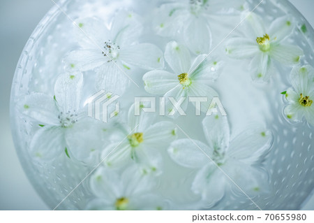 浮在水面上的花 浮在水面上的花 70655980