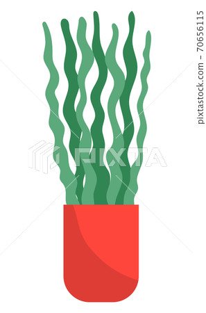 Decorative green plant with long leaves in ceramic pot, pot with houseplant. Home interior plant Decorative green plant with long leaves in ceramic pot, pot with houseplant. Home interior plant 70656115