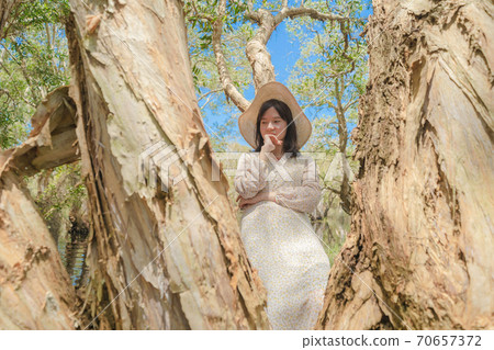 Portrait of Asian woman, a tourist, with trees in Rayong Botanical Garden, Paper Bark Tropical Forest in national park in Thailand. People lifestyle adventure activity recreation. Portrait of Asian woman, a tourist, with trees in Rayong Botanical Garden, Paper Bark Tropical Forest in national park in Thailand. People lifestyle adventure activity recreation. 70657372