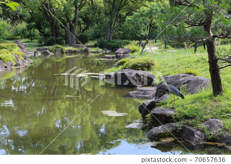 大阪府宮古島區藤田住宅公園 大阪府宮古島區藤田住宅公園 70657636