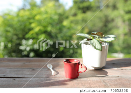 Red coffee mug with wooden spoon and plant pot on wooden table  70658268