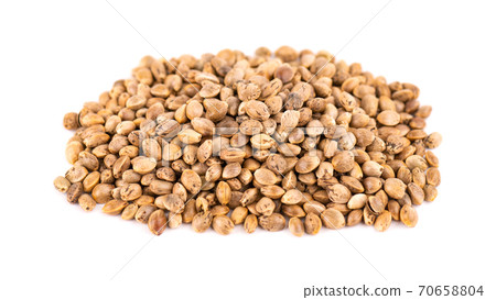 Hemp seeds isolated on white background. Dry seeds of cannabis, hemp or marijuana. 70658804