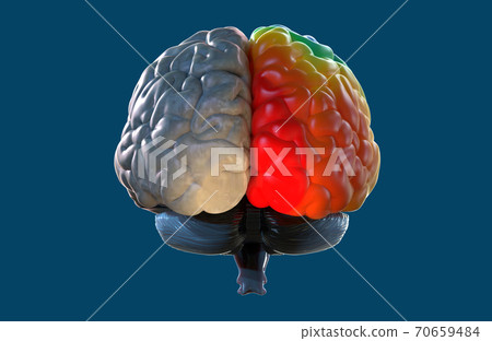 3D rendering illustration hemispheres brain back view isolated on blue BG 70659484