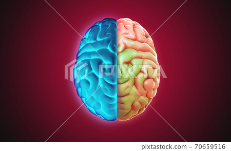 3D rendering brain top view glowing blue on left and multi color on right 70659516